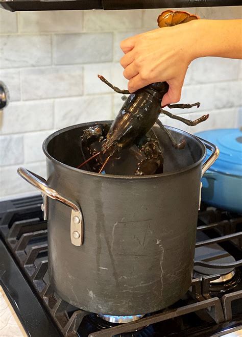 how to cook lobster the suburban soapbox