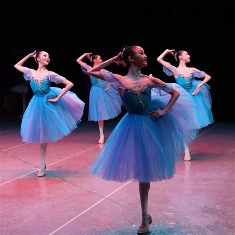Romantic Ballet Dress For Performance Performances Choose Color Arabesque Life