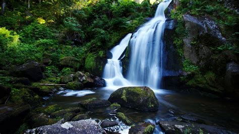 Desktop Wallpaper Rocks Forest Nature Waterfall Hd Image Picture Background 501012