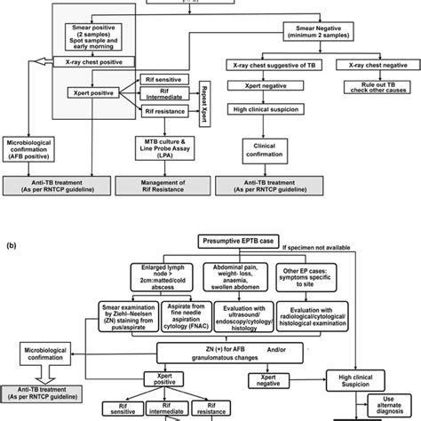 diagnostic algorithm for tuberculosis as per revised national tb download scientific diagram