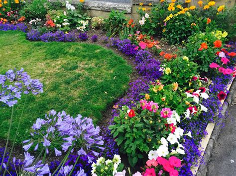 Creating a walking pathway with stepping stones. Alan Titchmarsh's tips on creating a colourful garden | Express.co.uk