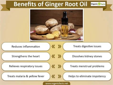 Helpful Ginger Essential Oil Techniques For Ginger Essential Oil For
