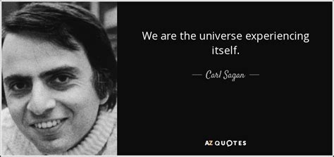 Through our eyes, the universe is perceiving itself. Carl Sagan quote: We are the universe experiencing itself.