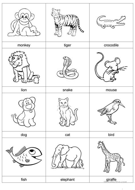 Animal Cards English Esl Worksheets For Distance Learning And