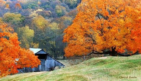 Tennessee Colors Photograph At Tennessee Fall