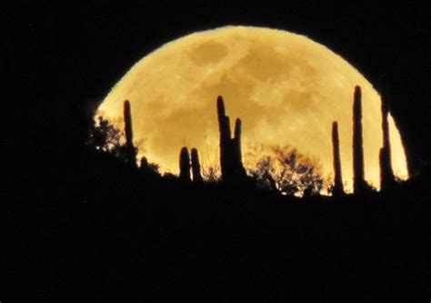 Rising Full Moon Saguaro National Park Tucson Arizona My