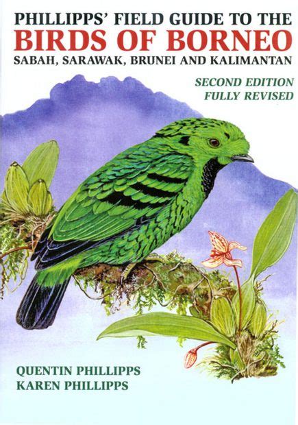 Phillipps Field Guide To The Birds Of Borneo Sabah Sarawak Brunei