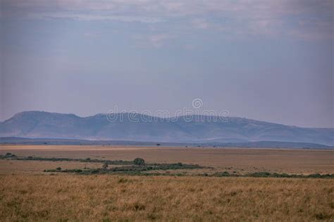 Hilly Mountains Savannah Grassland Wilderness At The Maasai Mara