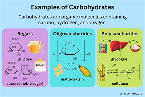 examples of carbohydrates