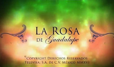 Created by carlos mercado orduña. VER La Rosa de Guadalupe capítulos completos 2020 EN VIVO ...