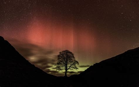 Northern Lights Could Visit Britain Tonight Telegraph