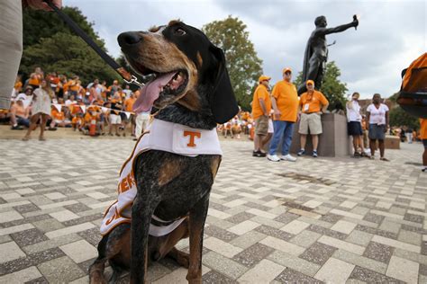 Ut Knoxville On Twitter After Nine Years As Uts Faithful Mascot