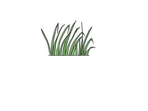 Imagedraw Grass Step 8 Version 2 Drawings Drawing Tips