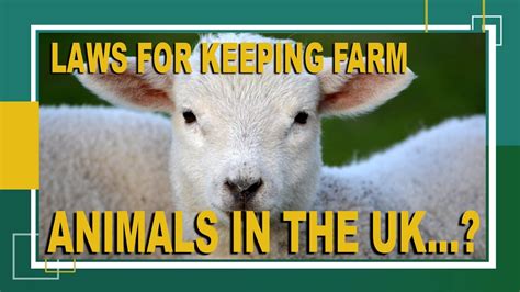 Laws For Keeping Farm Animals And Live Stock Uk Want To Live On Your