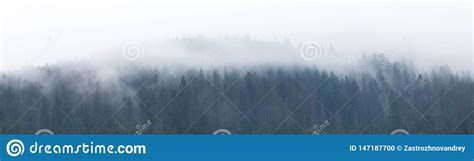 Mountain Foggy Background Forest Fog Mist Landscape Stock Photo