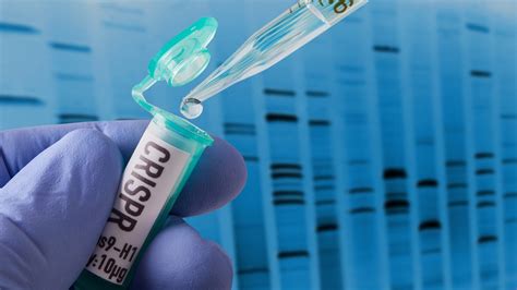 Are Genetically Modified Babies Coming Our Way