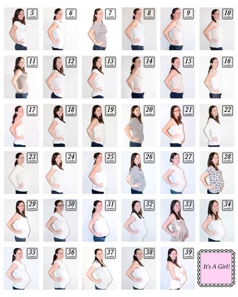 Pregnancy Progression Poster Baby Bump Progression Pregnancy Belly