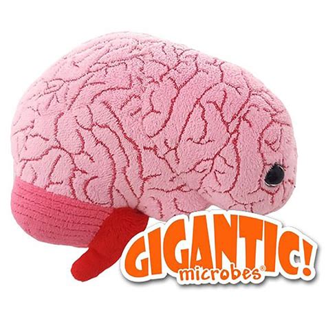 Gigantic Brain Soft Toy Steam Rocket Fun Educational Toys And Games