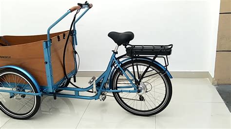 Three Wheel 6 Speeds Retro Electric Cargo Biketricycle For Sale