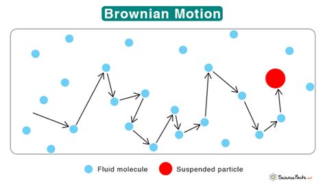 Brownian Motion Definition And Examples