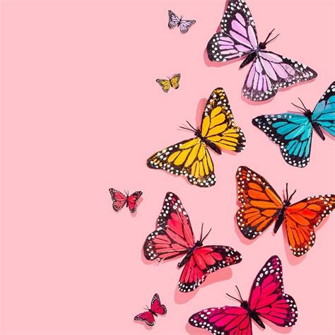Aesthetic Butterfly Wallpapers Top Những Hình Ảnh Đẹp