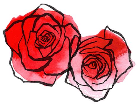 Red Rose Drawing At Getdrawings Free Download