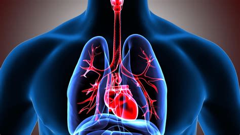 Better Breathing Improving Lung Health Over 60 Includes Breathing