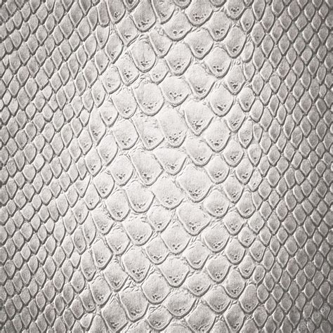 Snake White Skin Leather Texture — Stock Photo © Marchello74 40262553