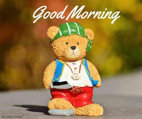 101 Cute Good Morning Teddy Bear Images Best Collection Teddy Bear
