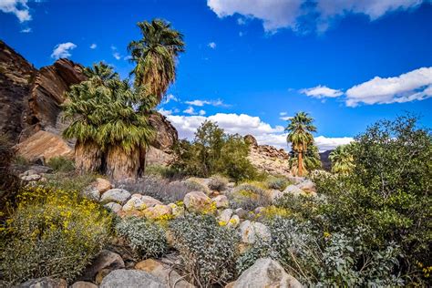 7 Best Desert Hikes In Southern California Two Wandering Soles