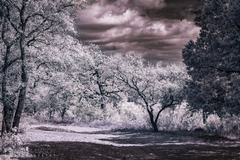 Create Stunning Infrared Photography For Less Than 200 Fstoppers