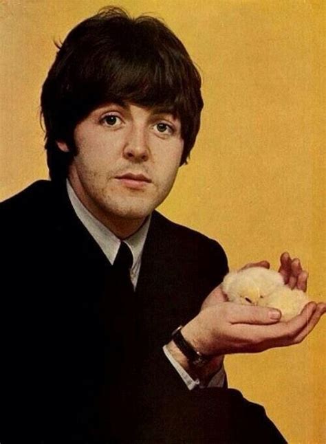 Sign In To Twitter Paul Mccartney The Beatles Beatles Photos