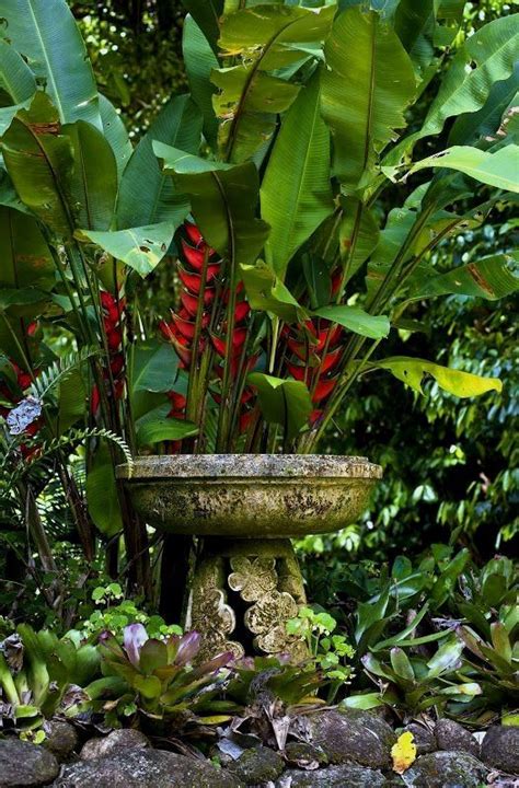 Tropical Landscaping Is A Popular Choice For Homeowners And Gardeners
