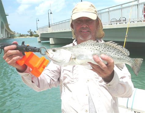 Fishing Off Clearwater Florida Trout For Dinner