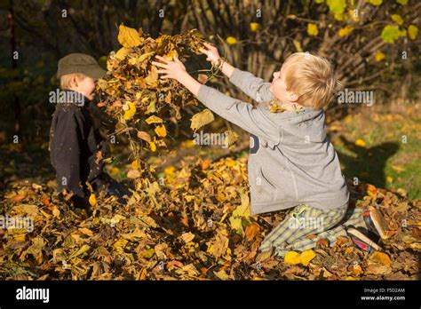 Children Playing In Pile Leaves High Resolution Stock Photography And