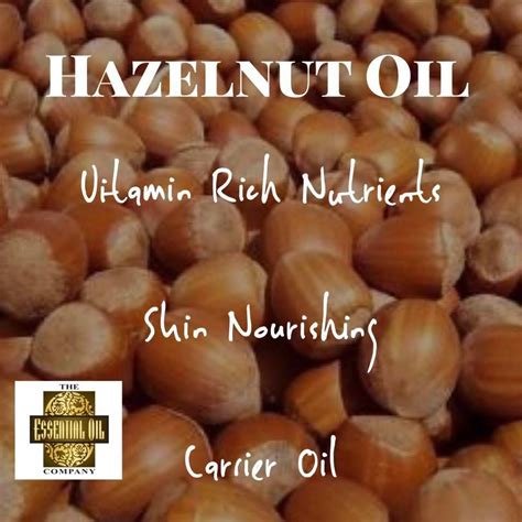 Hazelnut Oil Vitamin Rich Nutrients Skin Nourishing Carrier Oil