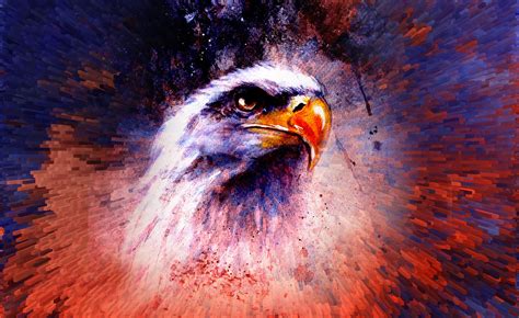 Eagle Abstract 5k Hd Artist 4k Wallpapers Images Backgrounds