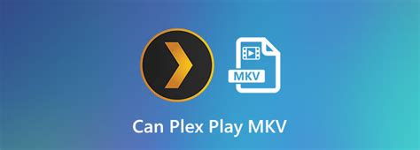 The Ultimate Guide On How To Stream Mkv Via Plex Media Server