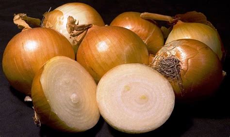 Yellow Sweet Spanish Onion Seeds Non Gmo Variety Sizes Free Shipping