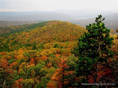 Arkansas Ozarks Rolling Hills By Naturegreeting Cards ©ccwri Redbubble