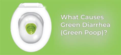 Green Diarrhea Green Poop Possible Causes Symptoms And Treatments 2023