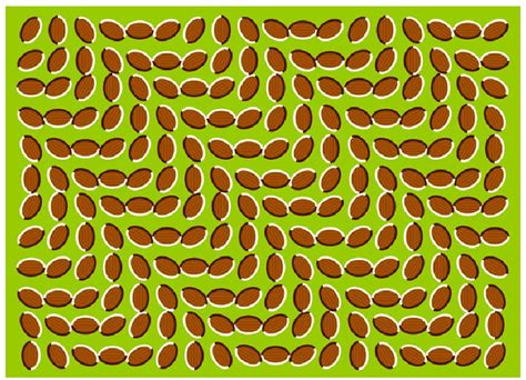 Trick Your Eyes With These Fun April Fools Optical Illusions X Rite Blog