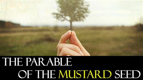 The Parable Of The Mustard Seed Rutherford Church Of Christ