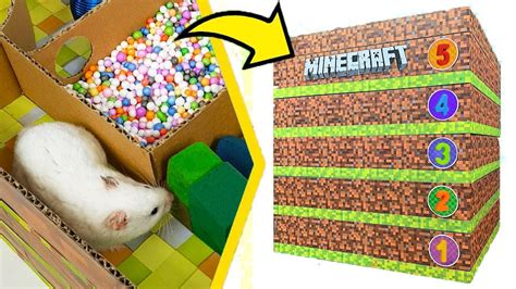 Hamsters In Minecraft Maze 5 Levels Minecraft In Real Life Youtube