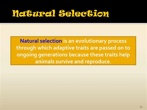 Ppt Behavior Genetics And Evolutionary Psychology Module 5 Powerpoint