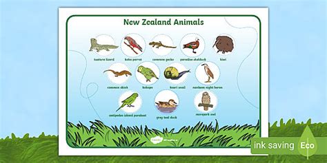 New Zealand Animals Word Mat Twinkl