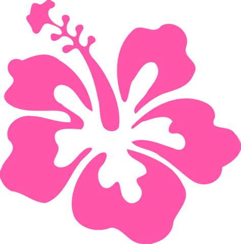 Download High Quality Hibiscus Clipart Cartoon Transparent Png Images