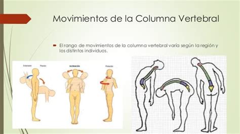 20 movimientos articulares para la columna vertebral en supino el porn sex picture