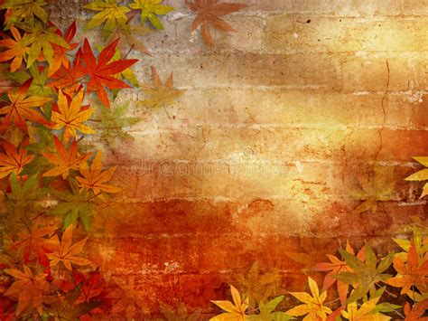 Autumn Background With Fall Leaves Stock Illustration Illustration Of