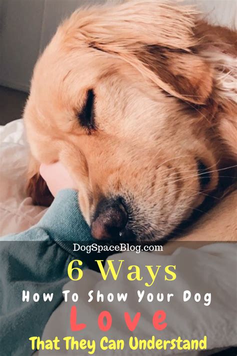 6 Ways To Show Your Dog Love That They Can Understand Artofit